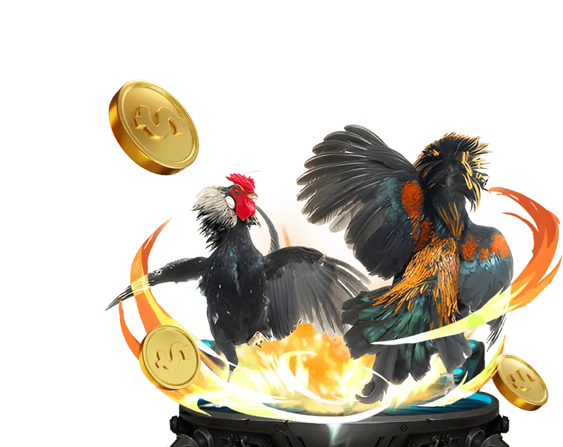 Thưởng nạp lại poker